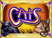 IGT Slot - Cats