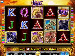 Cats Slot Screenshot